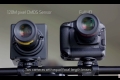 Những hình ảnh phô diễn sức mạnh của cảm biến 120MP của Canon